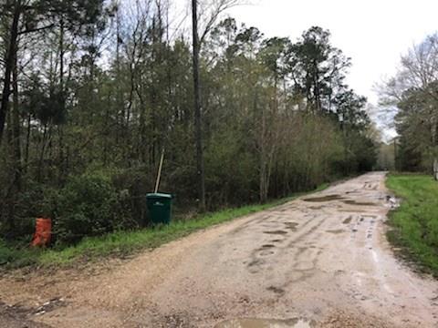 Tract A Blahut Road Hammond, LA 70403 - Photo 2 of 3 Gallery Image 2