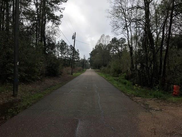 Tract A Blahut Road Hammond, LA 70403 - Photo 3 of 3 Gallery Image 3
