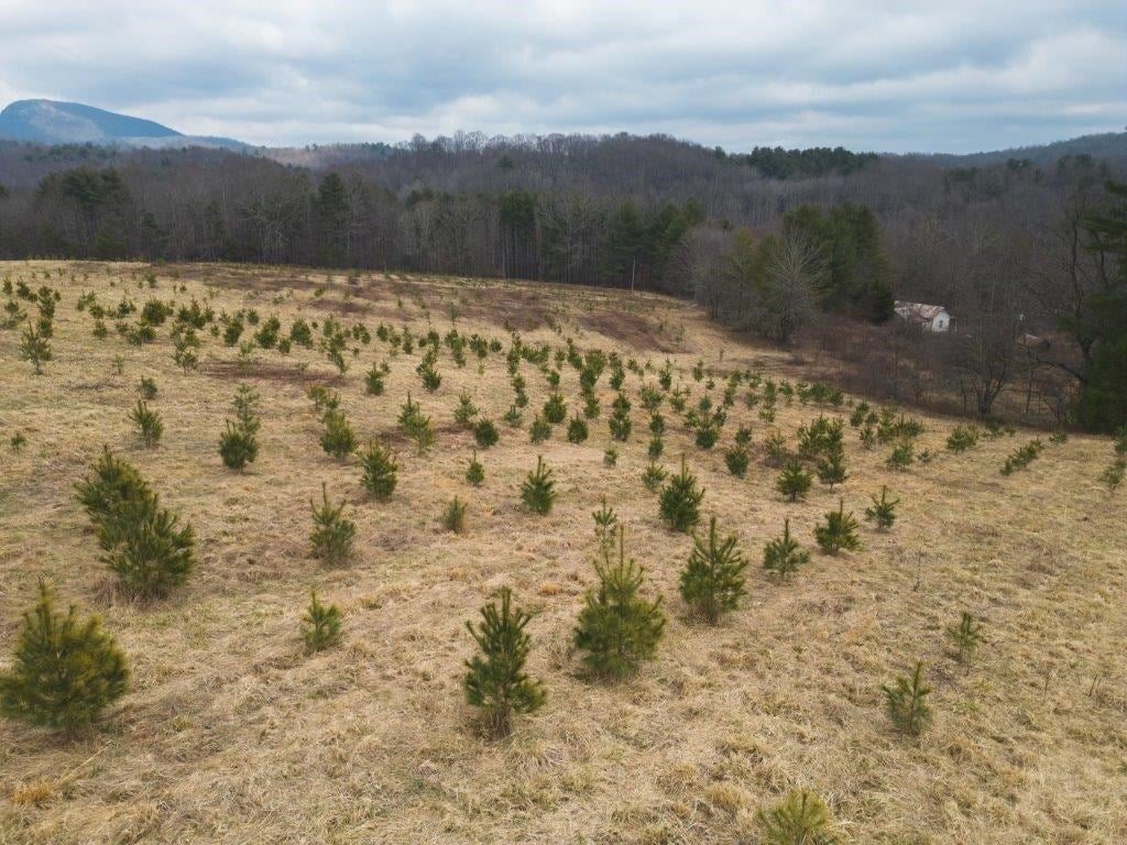 Tbd Long Mountain Road Southwest Willis, VA 24380 - Photo 11 of 66 Gallery Image 11