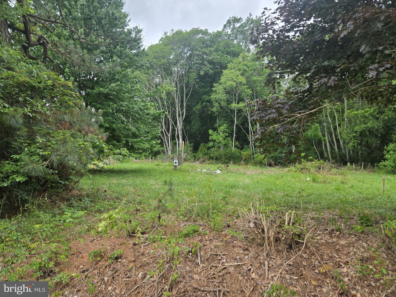 32298 Powell Farm Road Frankford, DE 19945 - Photo 2 of 4
