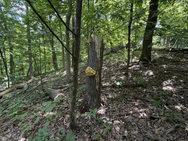 35537 Log House Lane Prairie du Chien, WI 53821 - Photo 34 of 36