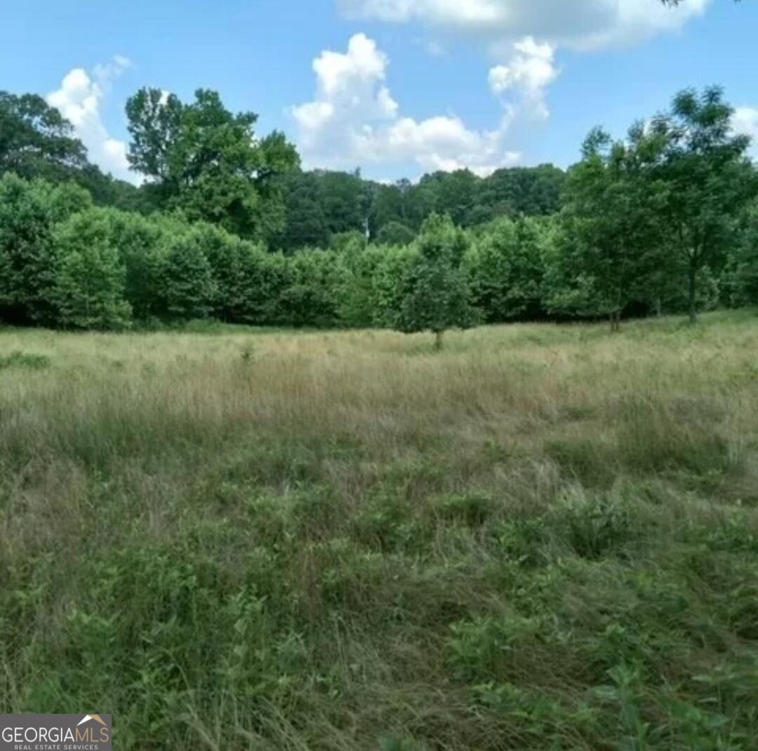 670 Cedar Grove Church Road Winder, GA 30680 - Photo 49 of 61