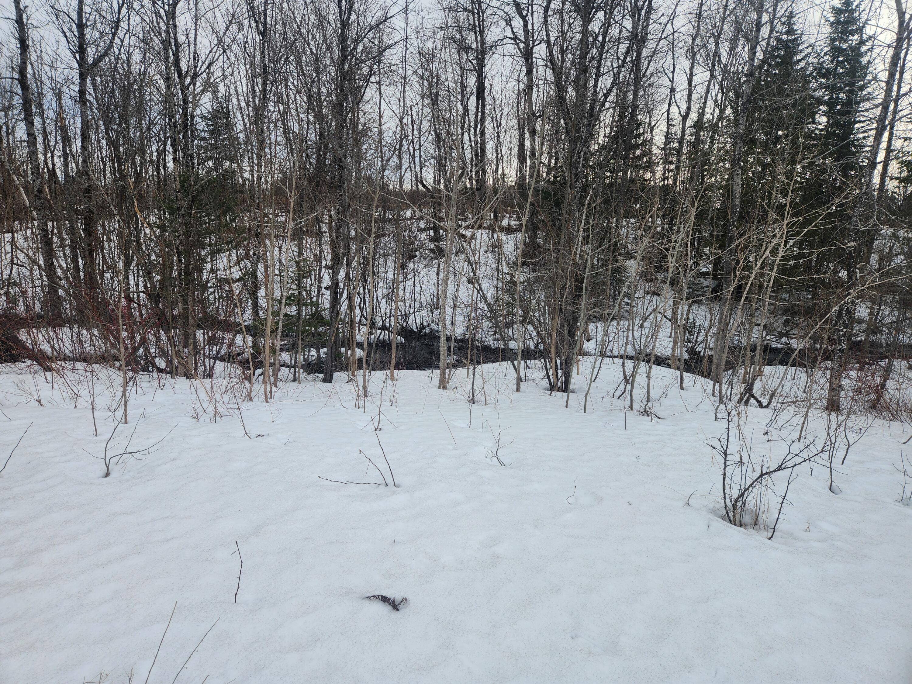 2132 State Road Mapleton, ME 04757 - Photo 6 of 10 2025-03-19 15.23.22