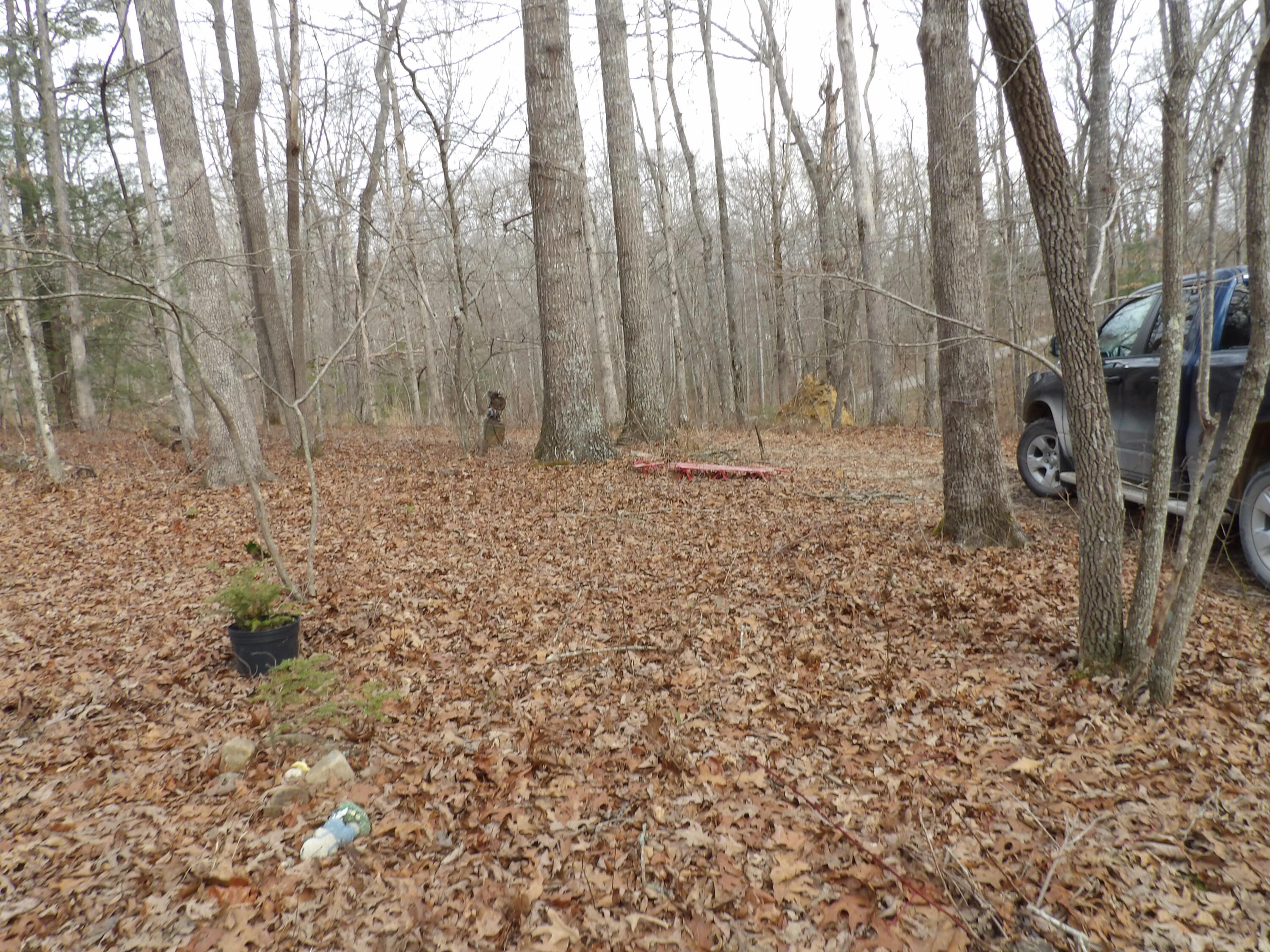 601 Valley Loop Road Crossville, TN 38572 - Photo 16 of 17 100_2186