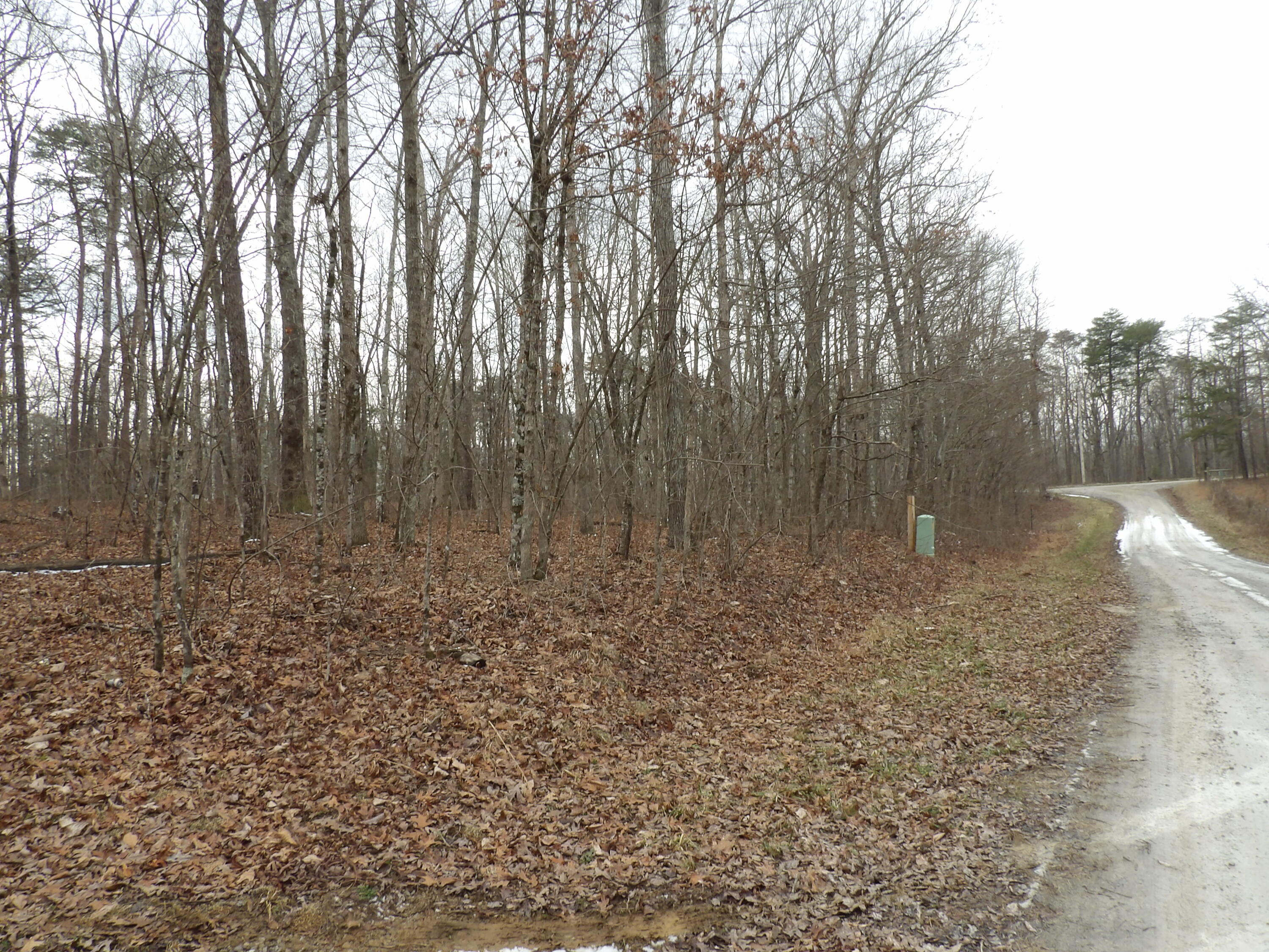 601 Valley Loop Road Crossville, TN 38572 - Photo 2 of 17 100_2171