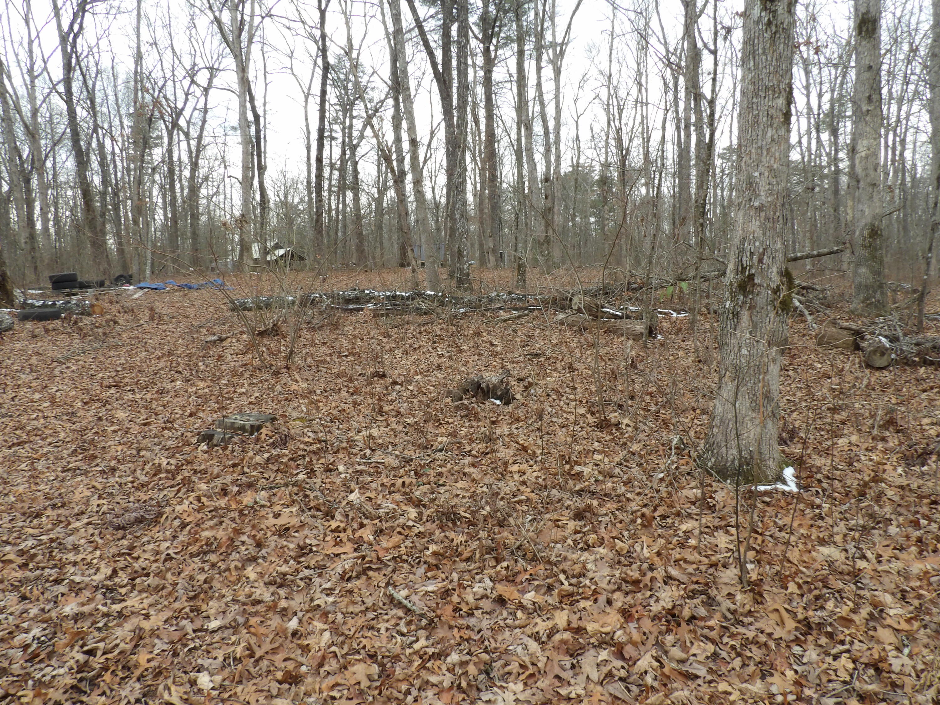 601 Valley Loop Road Crossville, TN 38572 - Photo 3 of 17 100_2172