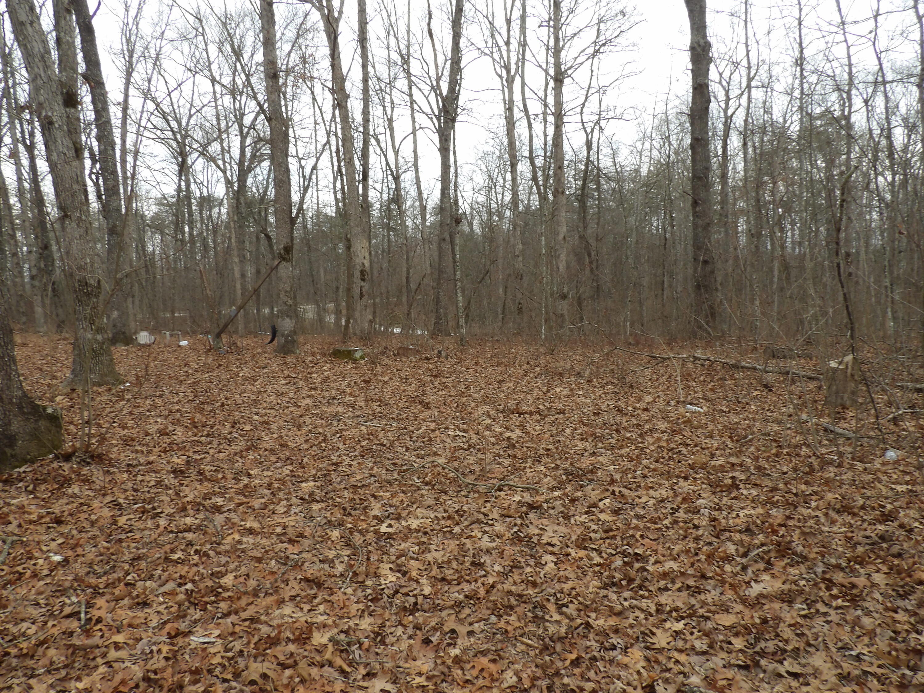 601 Valley Loop Road Crossville, TN 38572 - Photo 5 of 17 100_2175