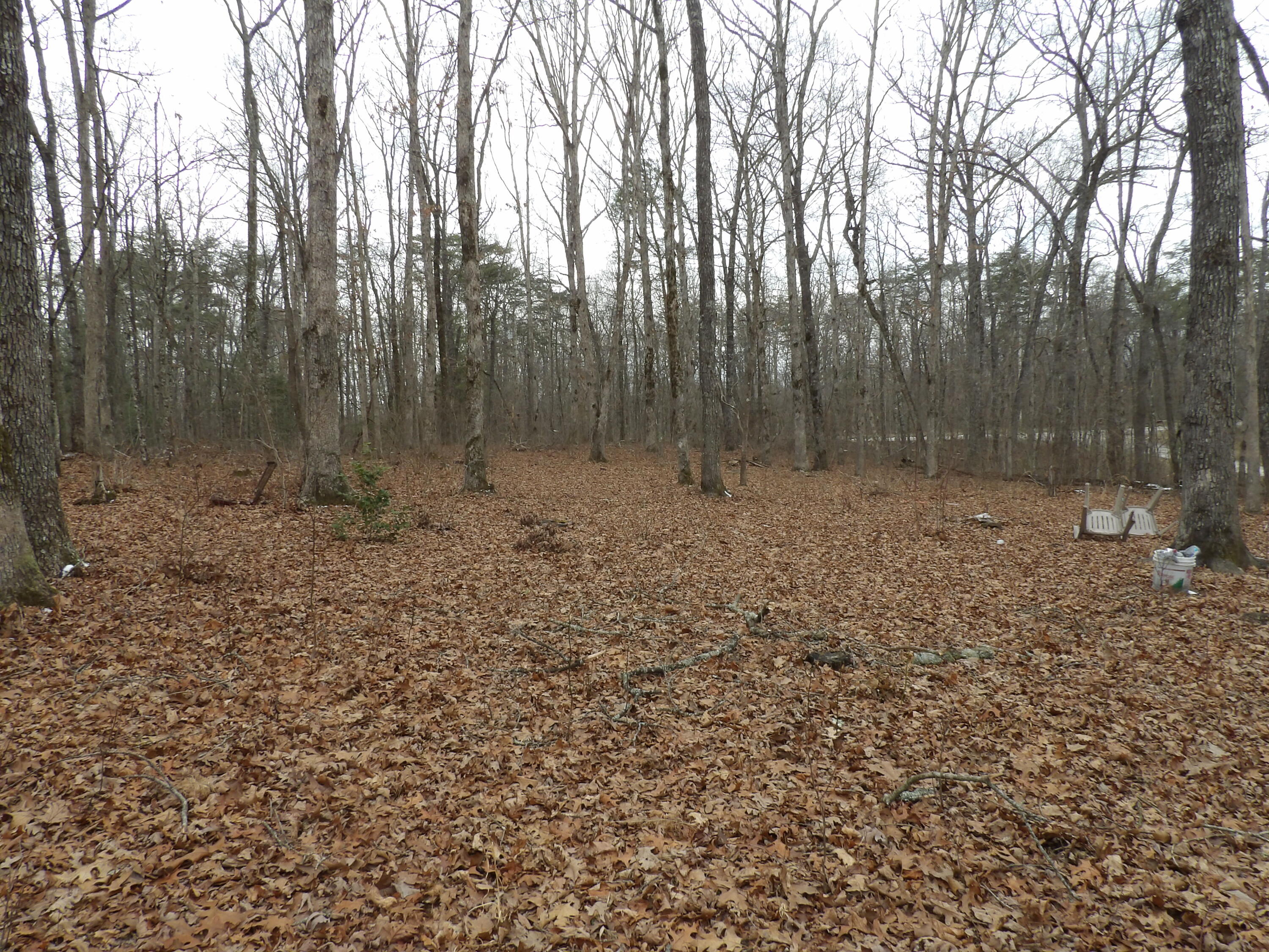 601 Valley Loop Road Crossville, TN 38572 - Photo 7 of 17 100_2177