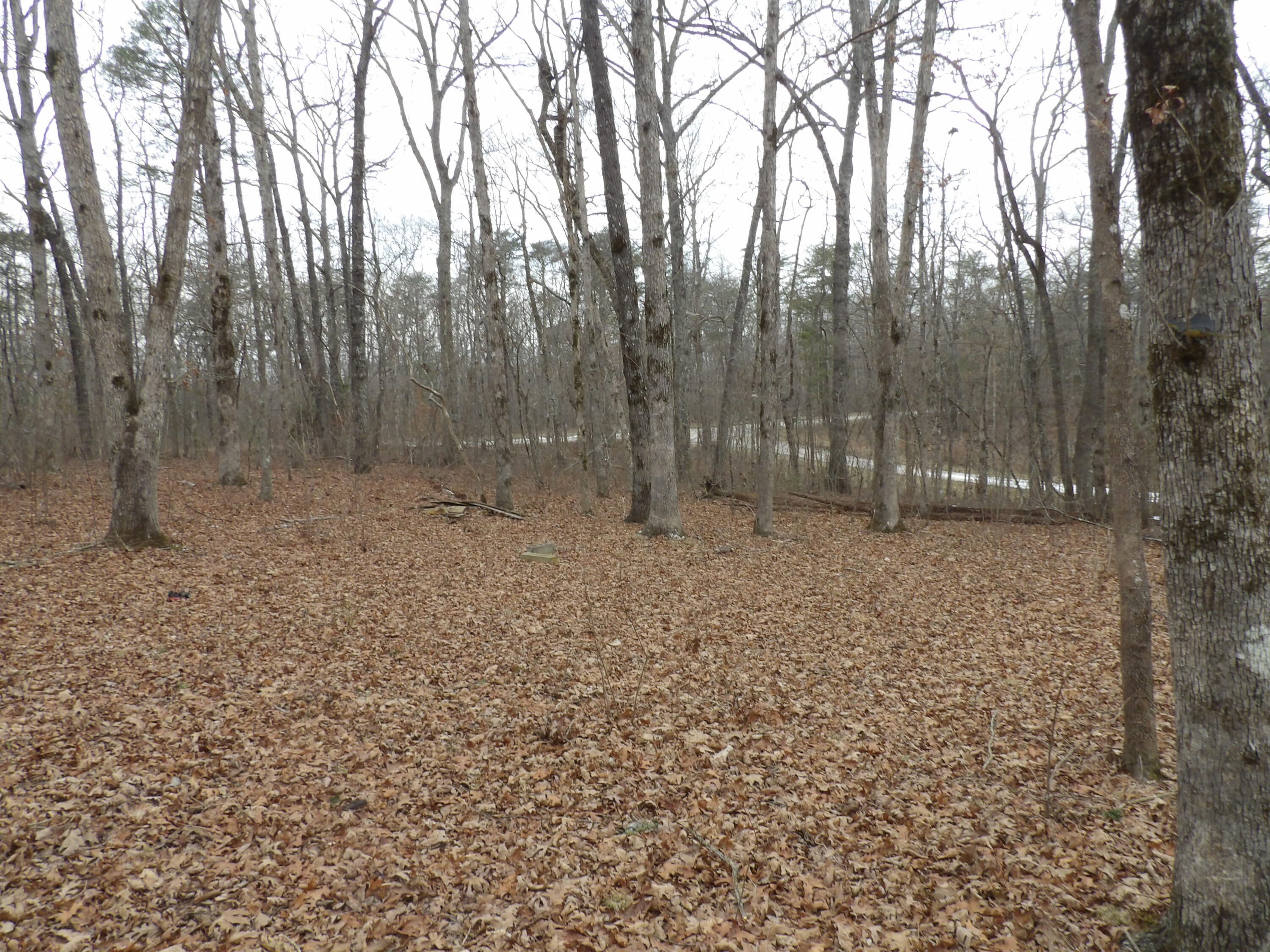 601 Valley Loop Road Crossville, TN 38572 - Photo 8 of 17 100_2178