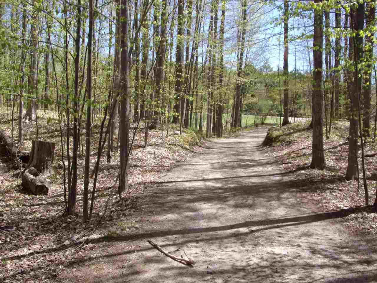 4545 Deckerville Road Lupton, MI 48635 - Photo 51 of 52 1875482-50.JPG