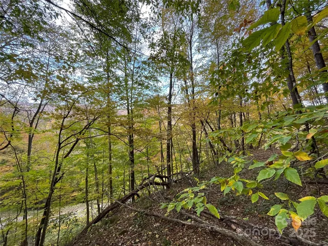 $22,000 | 96 Chestnut Street, Unit 96, Mars Hill, NC 28754