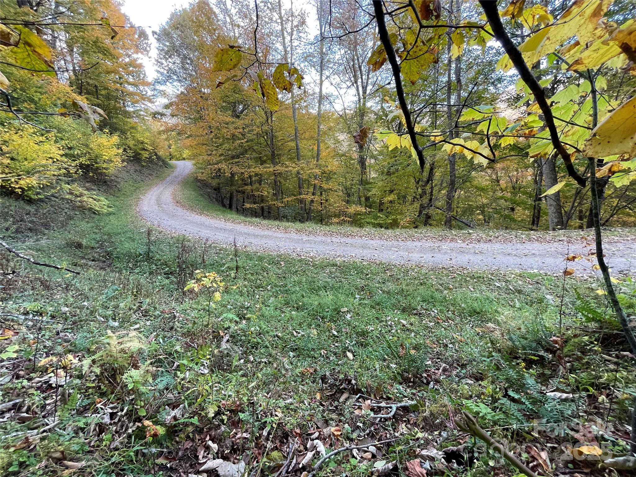 96 Chestnut Street, Unit 96 Mars Hill, NC 28754 - Photo 2 of 12 a view of backyard
