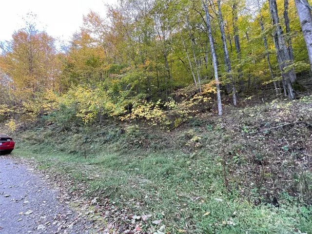 a view of a forest with trees and wooden fence