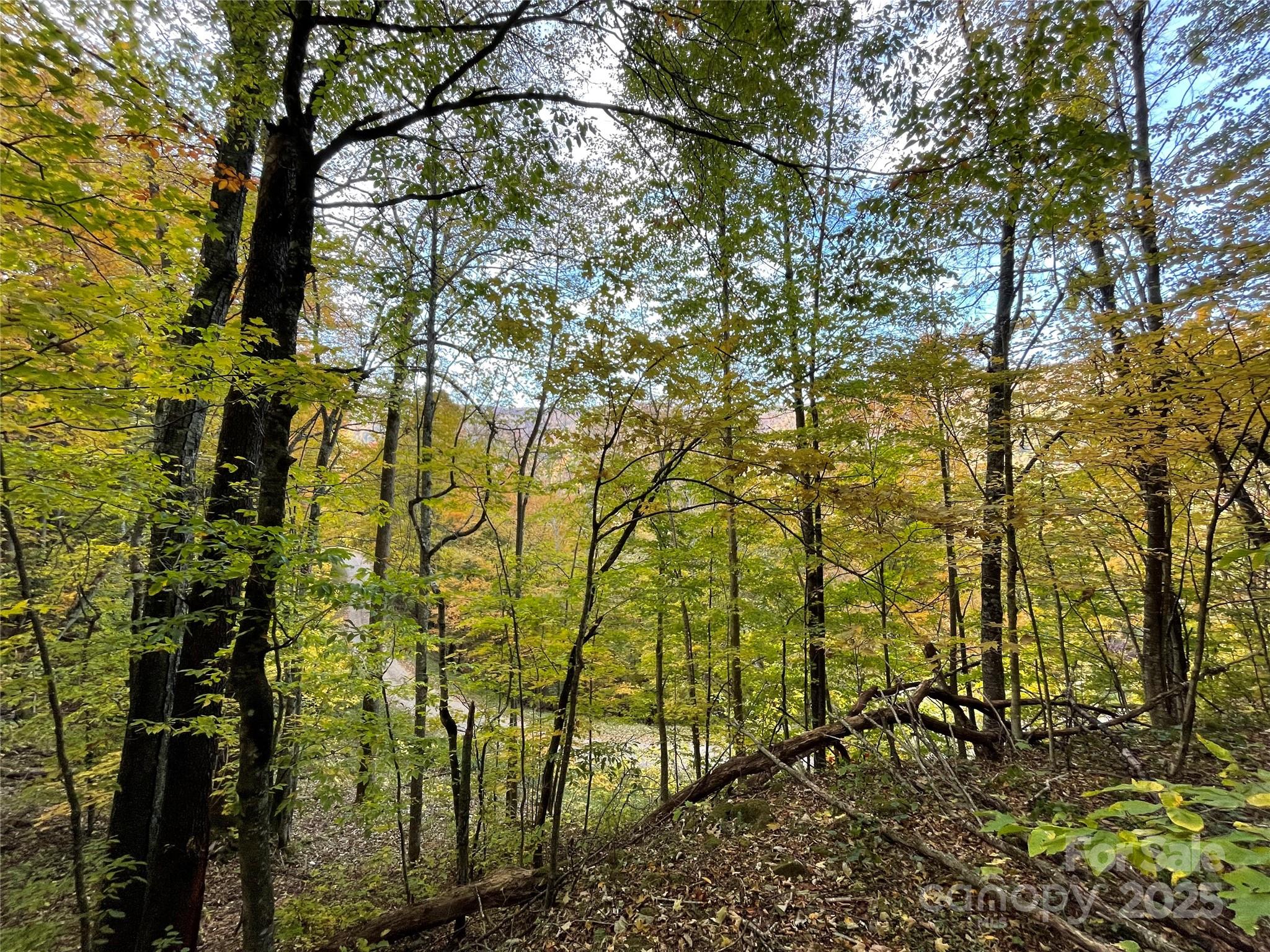 96 Chestnut Street, Unit 96 Mars Hill, NC 28754 - Photo 8 of 12