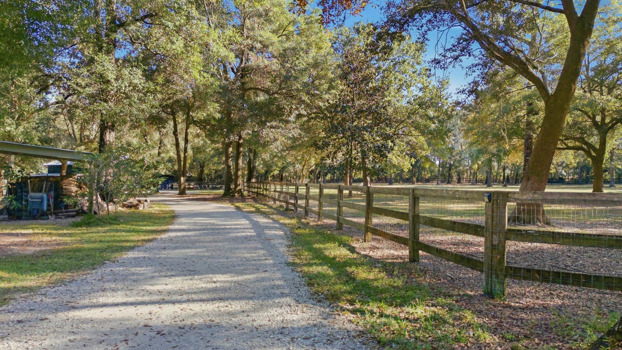 24250 River Road North Daphne, AL 36526 - Photo 5 of 80 Fenced