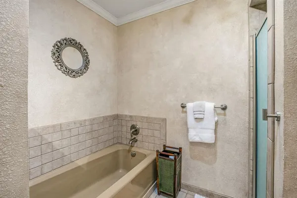 a bathroom with a bathtub and a shower