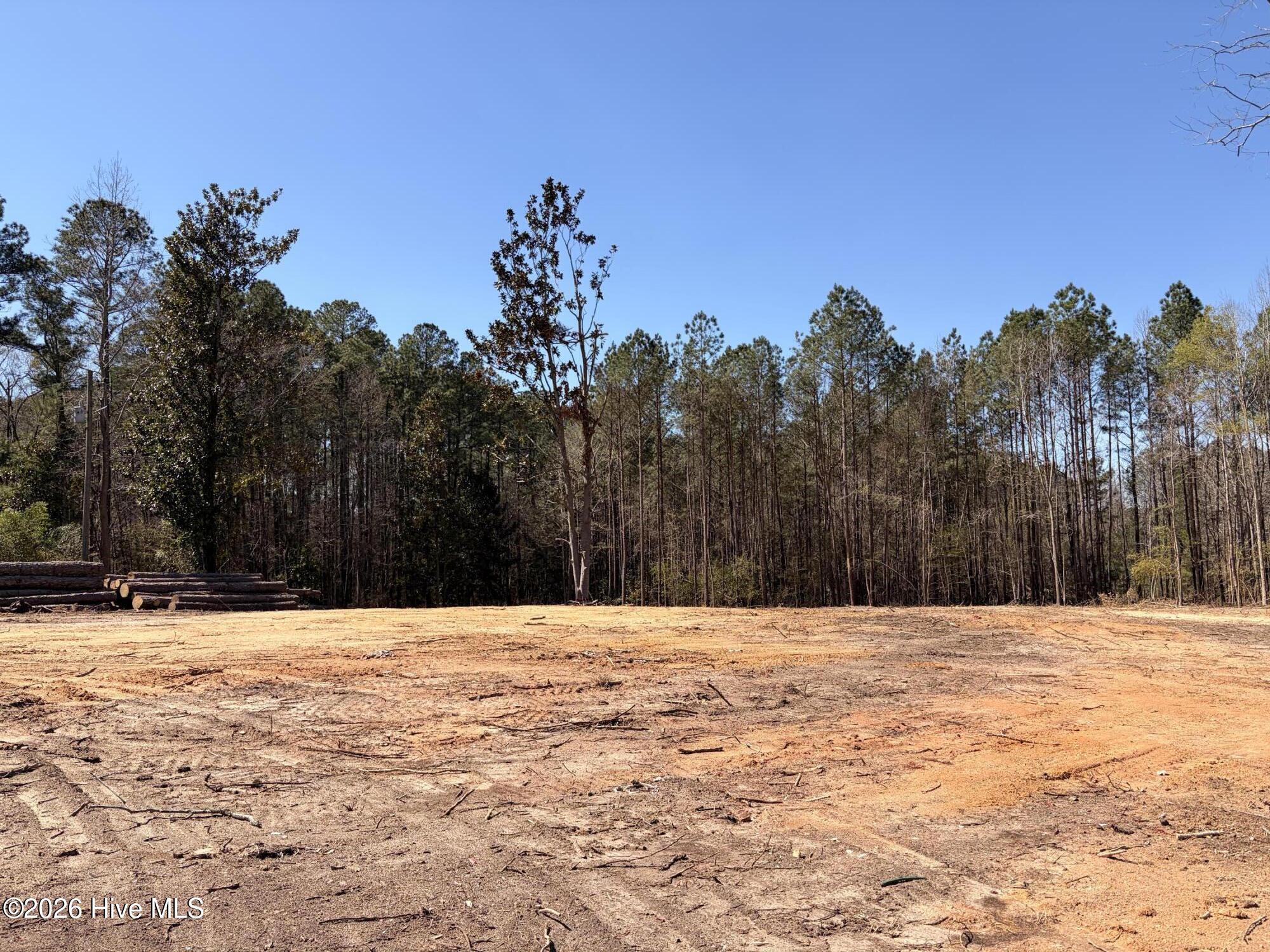 880 Doubs Chapel Road Carthage, NC 28327 - Photo 3 of 7 Lot 1A