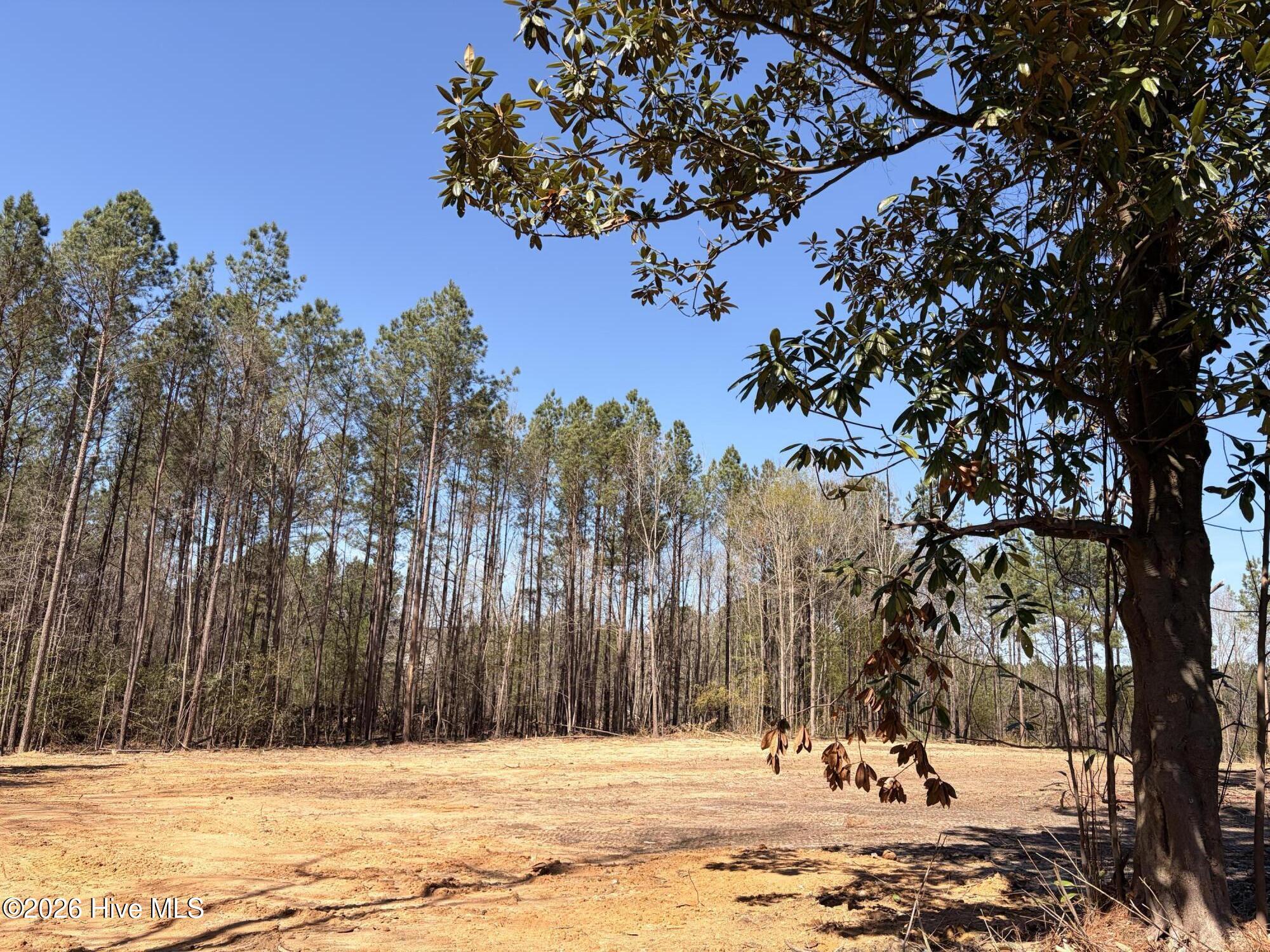 880 Doubs Chapel Road Carthage, NC 28327 - Photo 4 of 7 IMG_8770