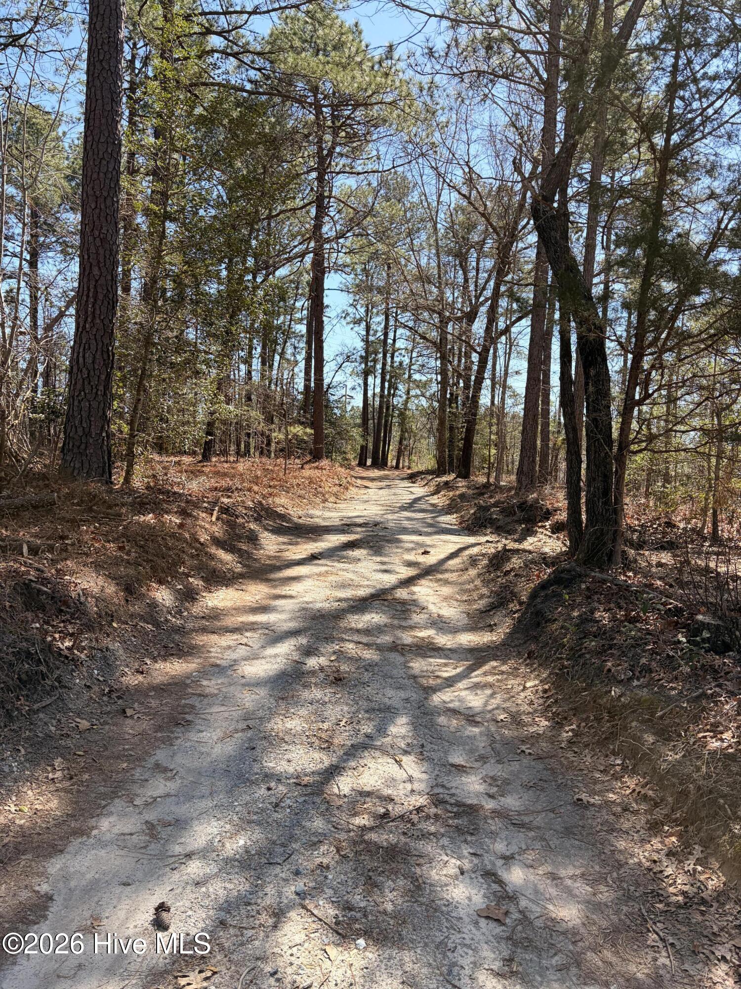 880 Doubs Chapel Road Carthage, NC 28327 - Photo 5 of 7 Access easement