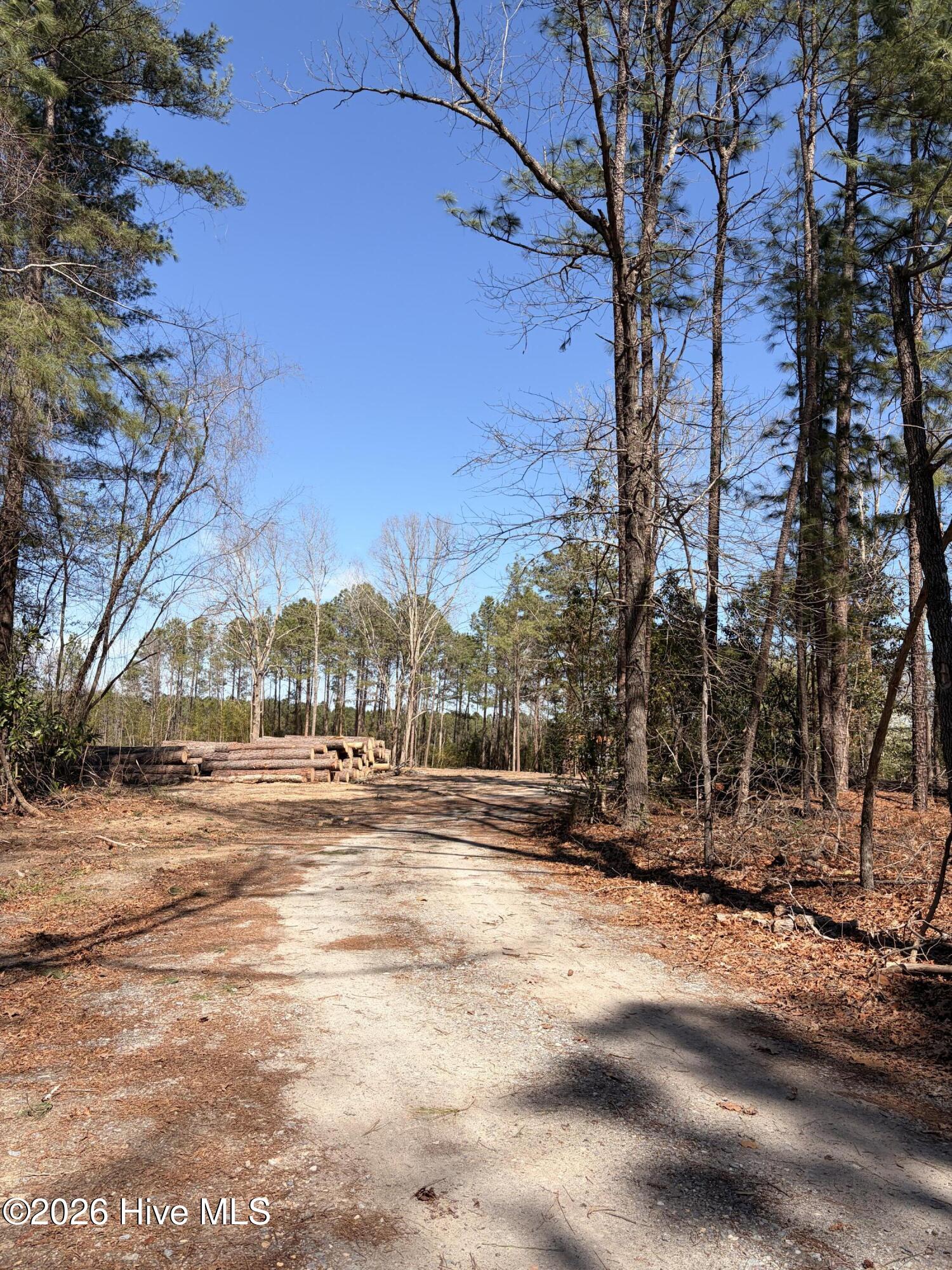 880 Doubs Chapel Road Carthage, NC 28327 - Photo 6 of 7 Access easement going into lot