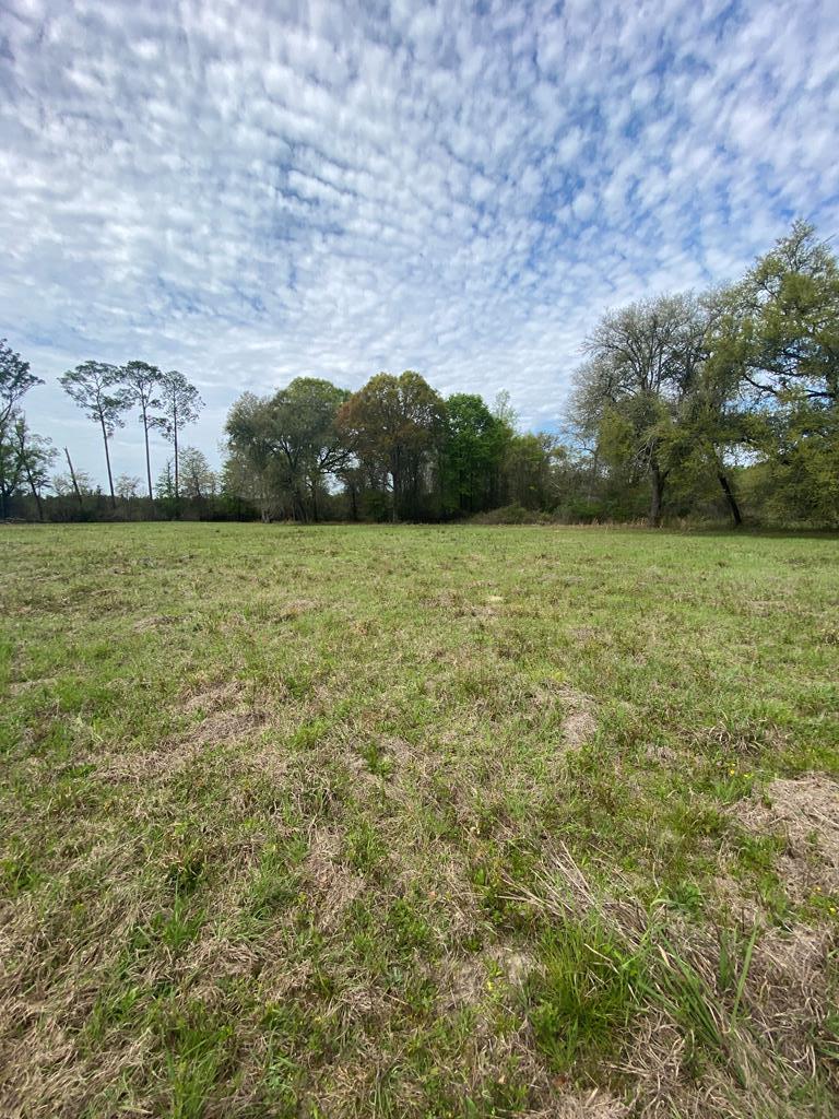 0 Van Wheeless Road Nashville, GA 31639 - Photo 6 of 6 Gallery Image 6