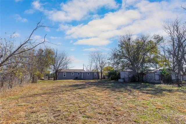 a view of a yard with a large tree