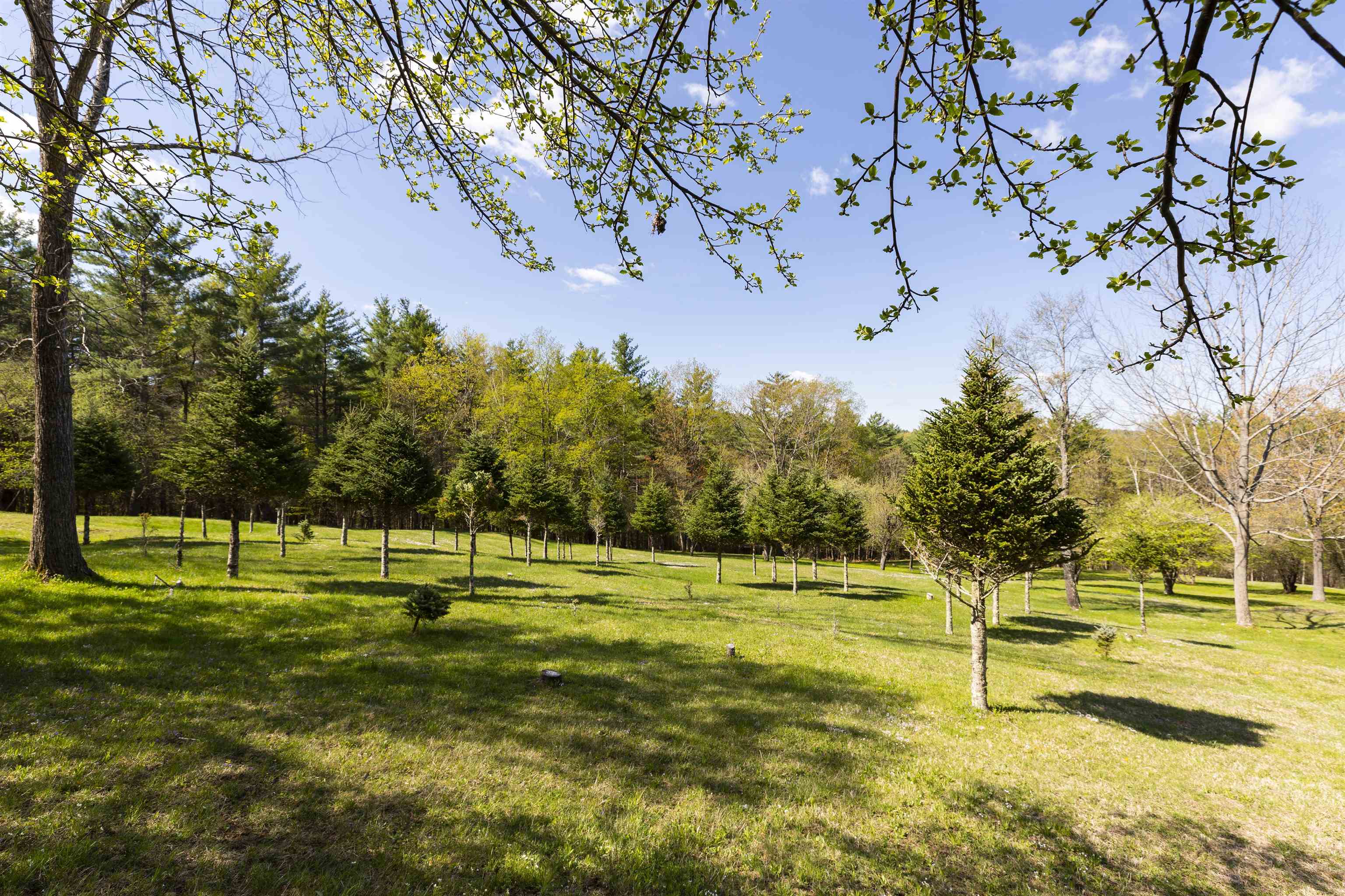 456 Willow Brook Road Plainfield, NH 03781 - Photo 33 of 37 Gallery Image 33