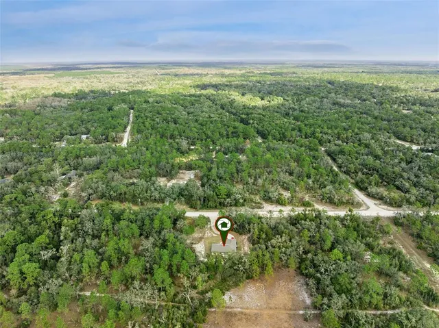 a view of a garden from a window