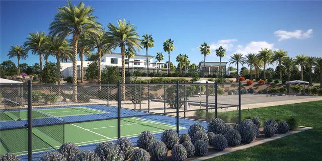 a view of a park with palm trees