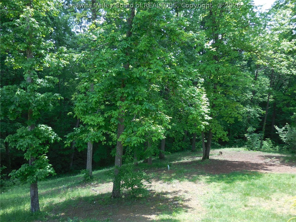 320 Bean Ridge Road Charleston, WV 25312 - Photo 17 of 24 Gallery Image 17