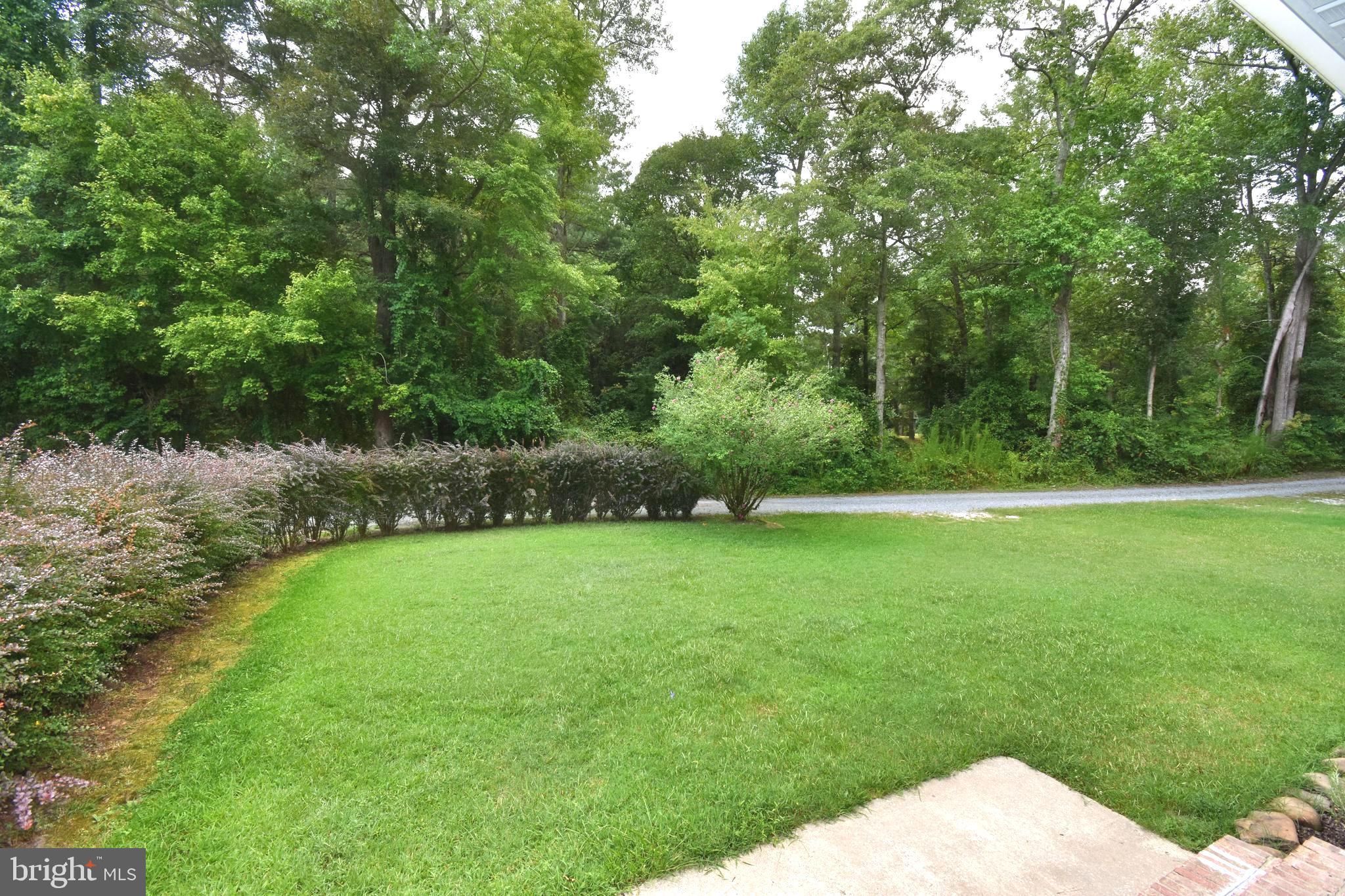 7875 Parsonsburg Road Parsonsburg, MD 21849 - Photo 49 of 55