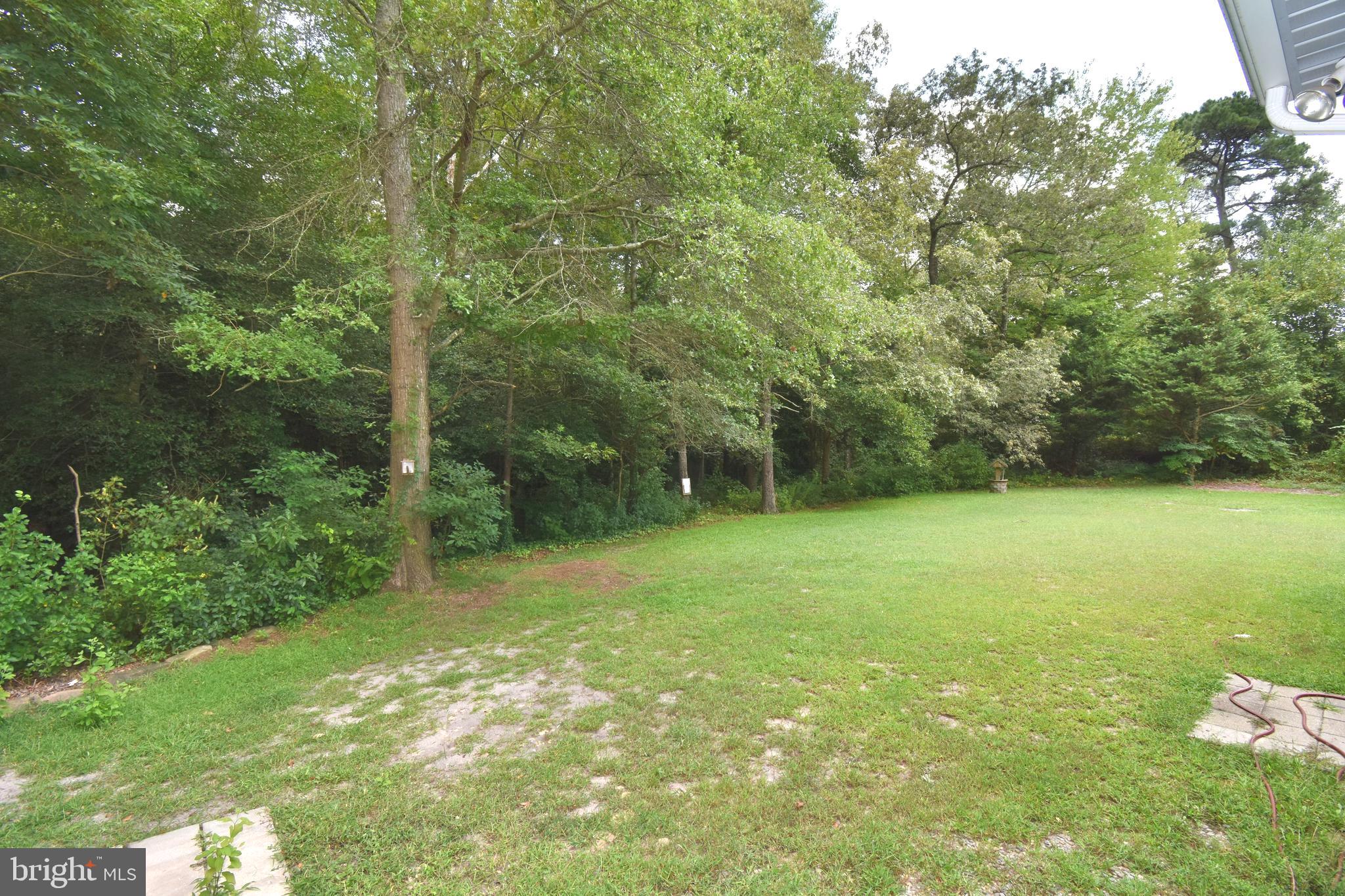 7875 Parsonsburg Road Parsonsburg, MD 21849 - Photo 50 of 55