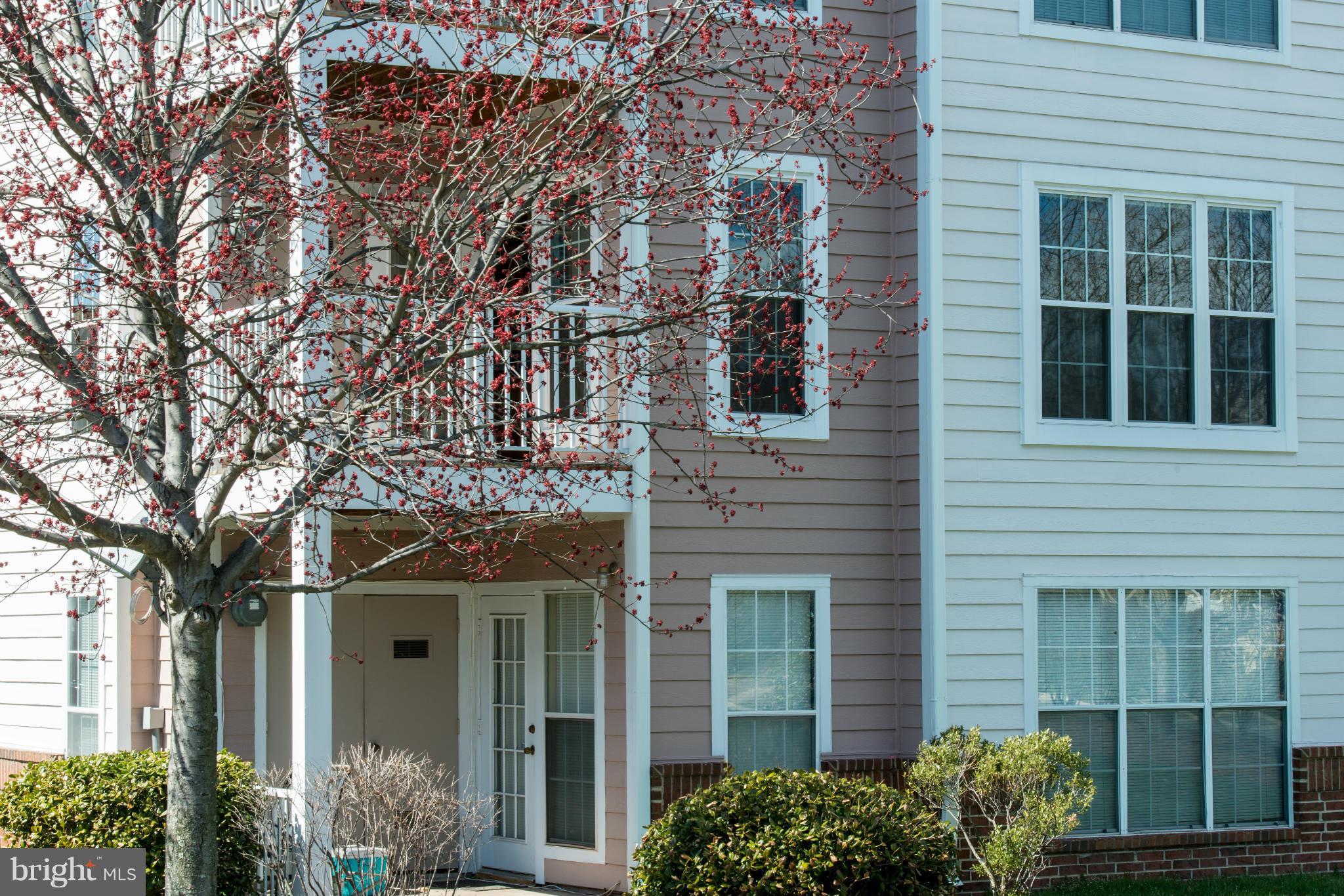 20960 Timber Ridge Terrace, Unit 202 Ashburn, VA 20147 - Photo 1 of 27 Exterior (Front)