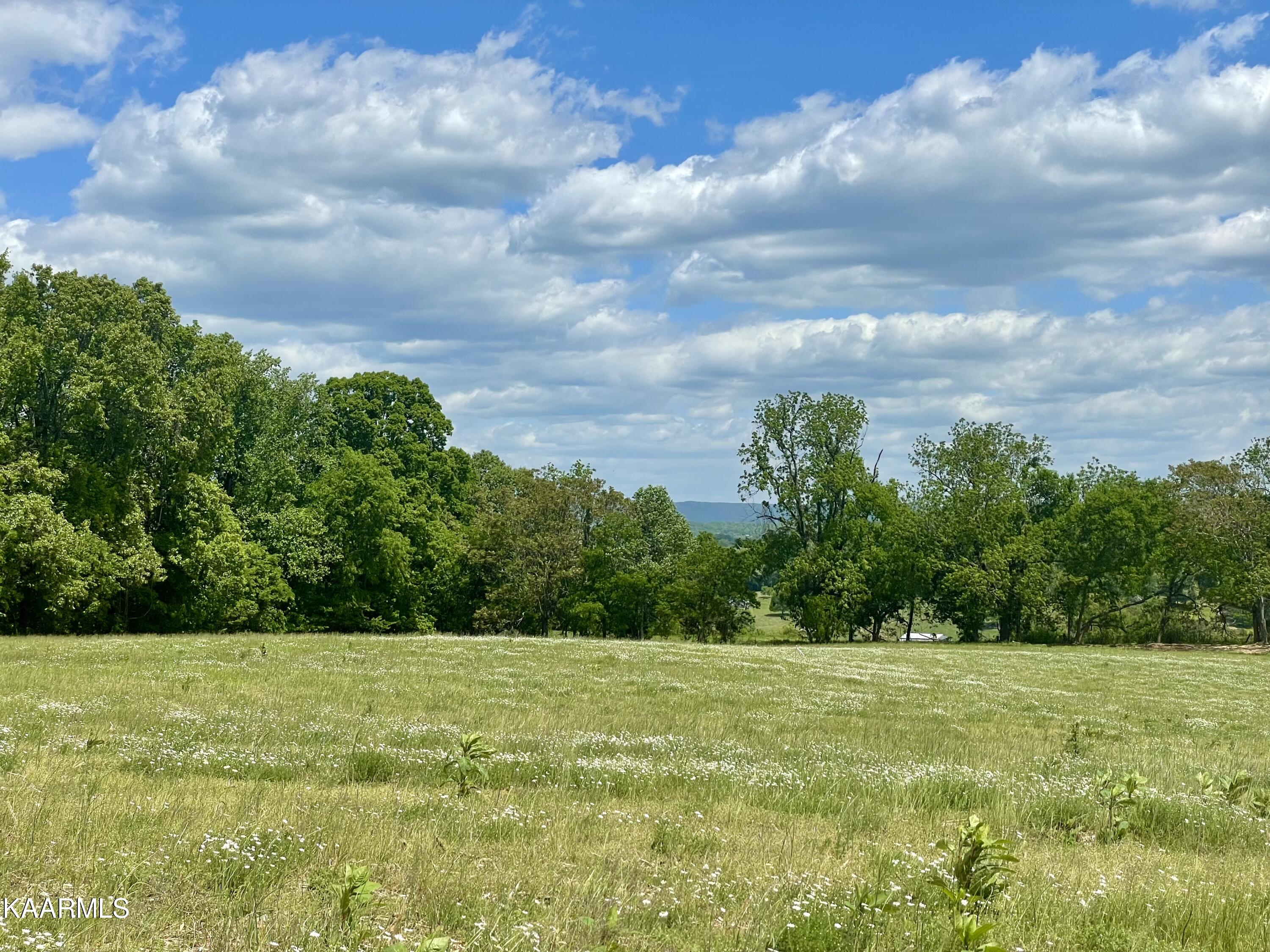 Clark Road Rutledge, TN 37861 - Photo 1 of 5 IMG_2988