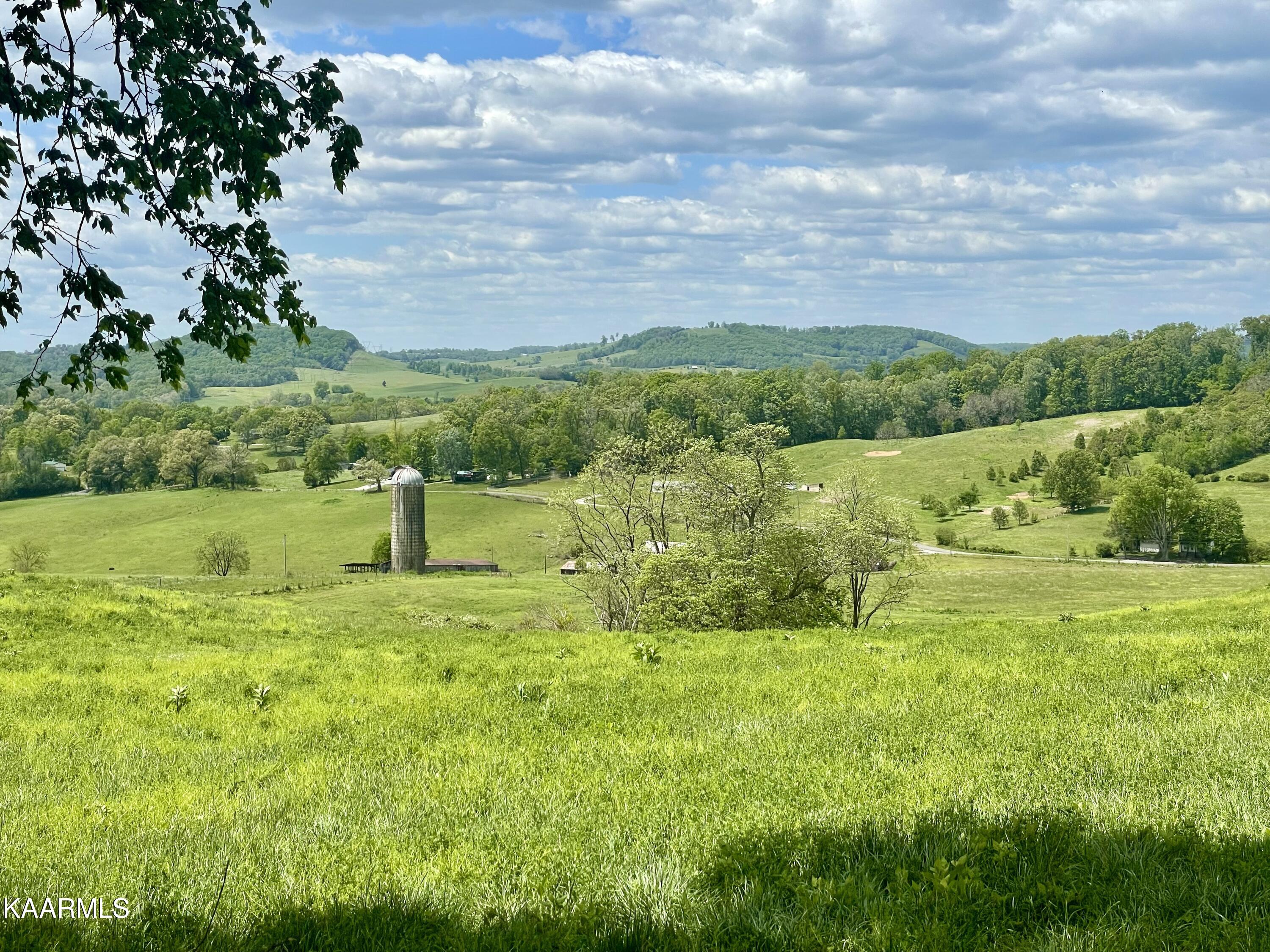 Clark Road Rutledge, TN 37861 - Photo 2 of 5 View of neighboring farm from lot 3