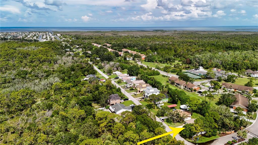 8313 Gulf Way Hudson, FL 34667 - Photo 23 of 27 a view of a yard with an outdoor space