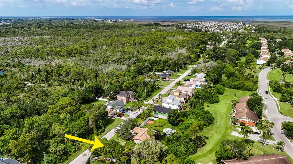 8313 Gulf Way Hudson, FL 34667 - Photo 26 of 27 a view of a large yard with large trees