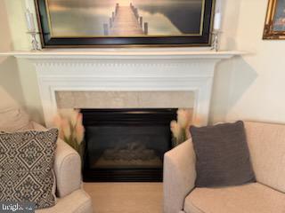 46891 Eaton Terrace, Unit 101 Sterling, VA 20164 - Photo 37 of 41 a living room with a fireplace and a rug