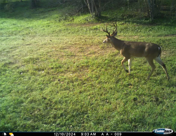 a living room with lots of furniture and a wooden floor