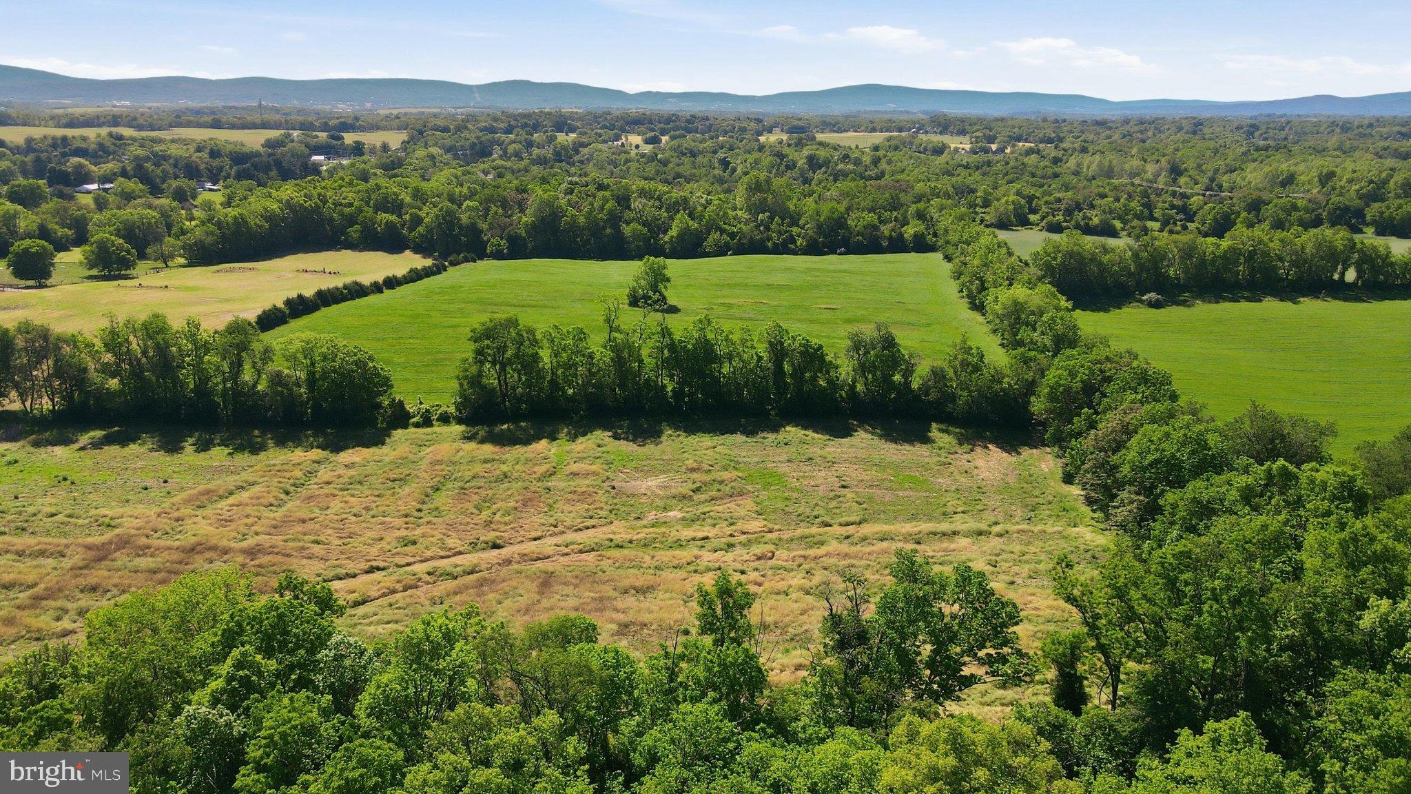 8805 Reichard Road Fairplay, MD 21733 - Photo 60 of 77 Lush green fields meet rolling hills.