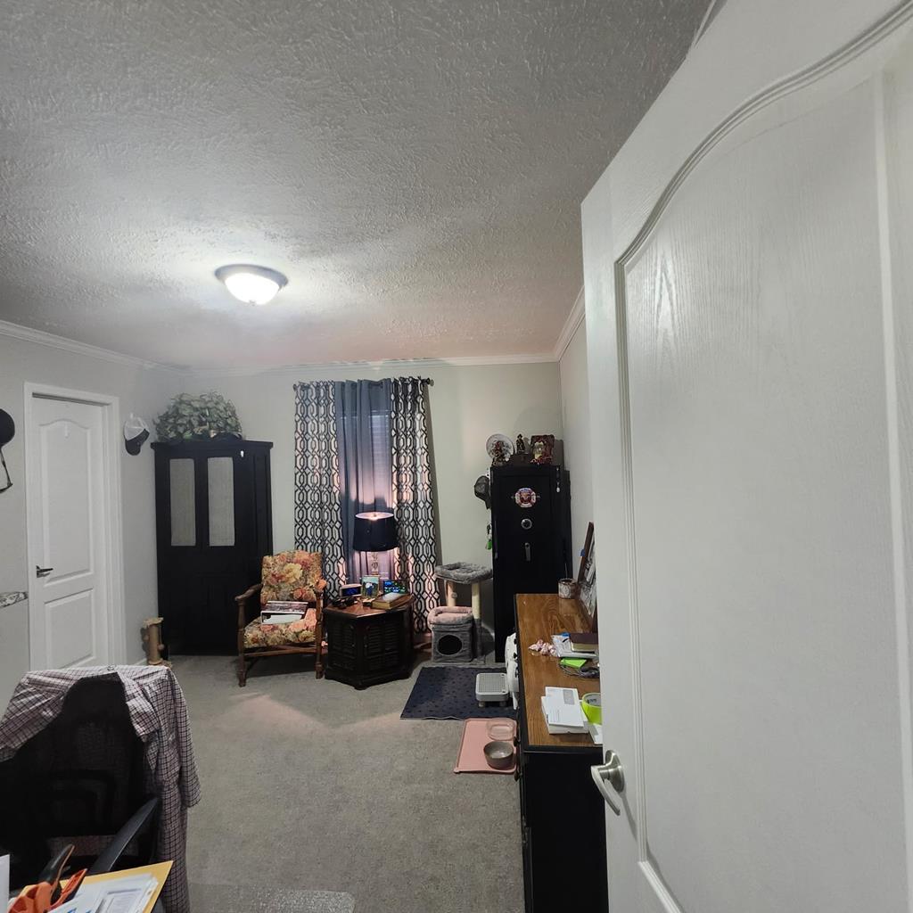 786 Blackberry Road Baconton, GA 31716 - Photo 66 of 67 Gallery Image 66