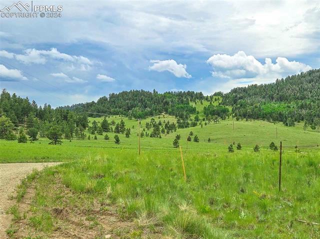2529 Julia Road Guffey, CO 80820 - Photo 39 of 47