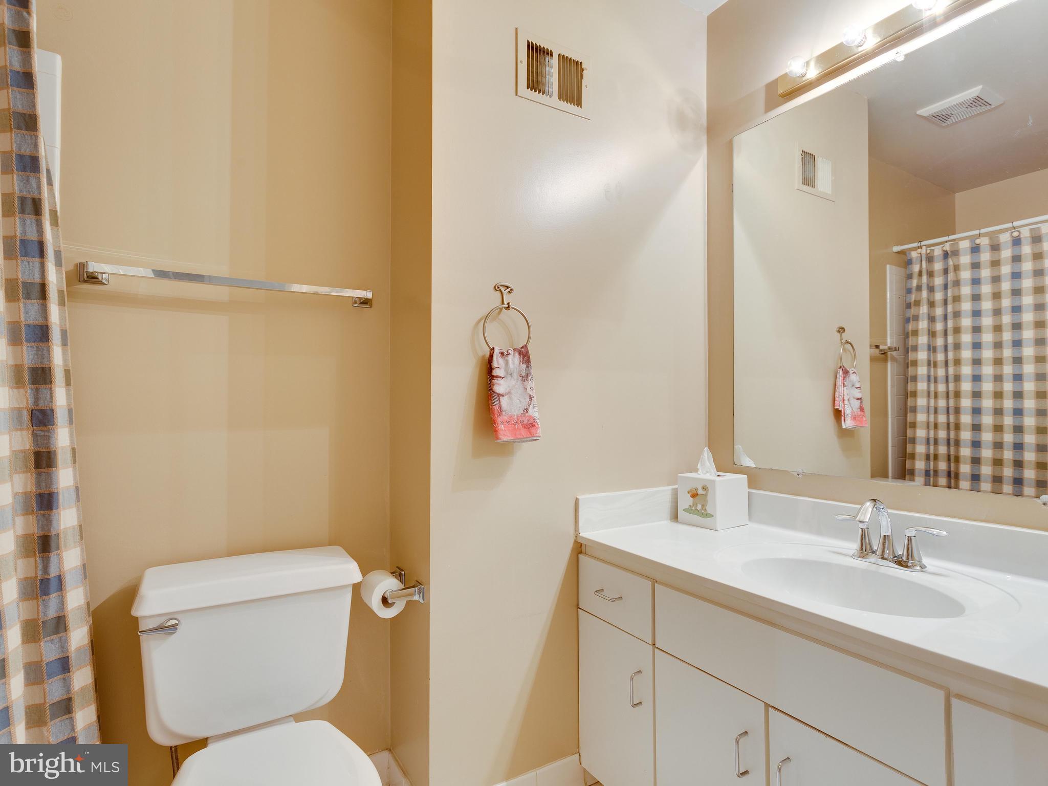 6357 English Ivy Way Springfield, VA 22152 - Photo 17 of 23 Hall full bath on 2nd level