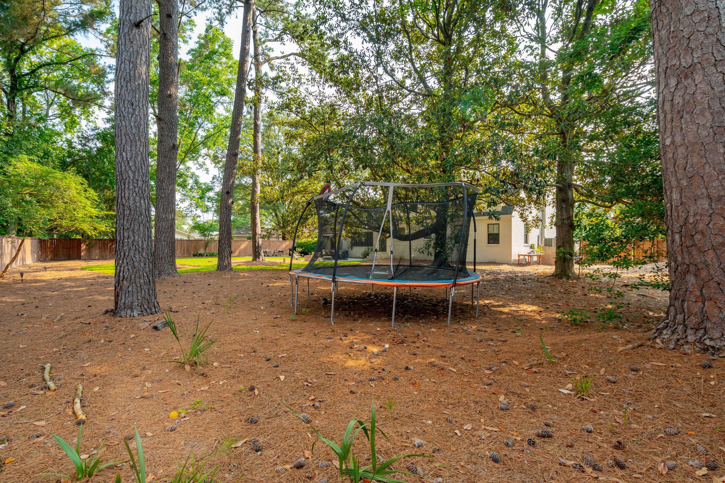 1446 Burningtree Road Charleston, SC 29412 - Photo 40 of 43 Backyard