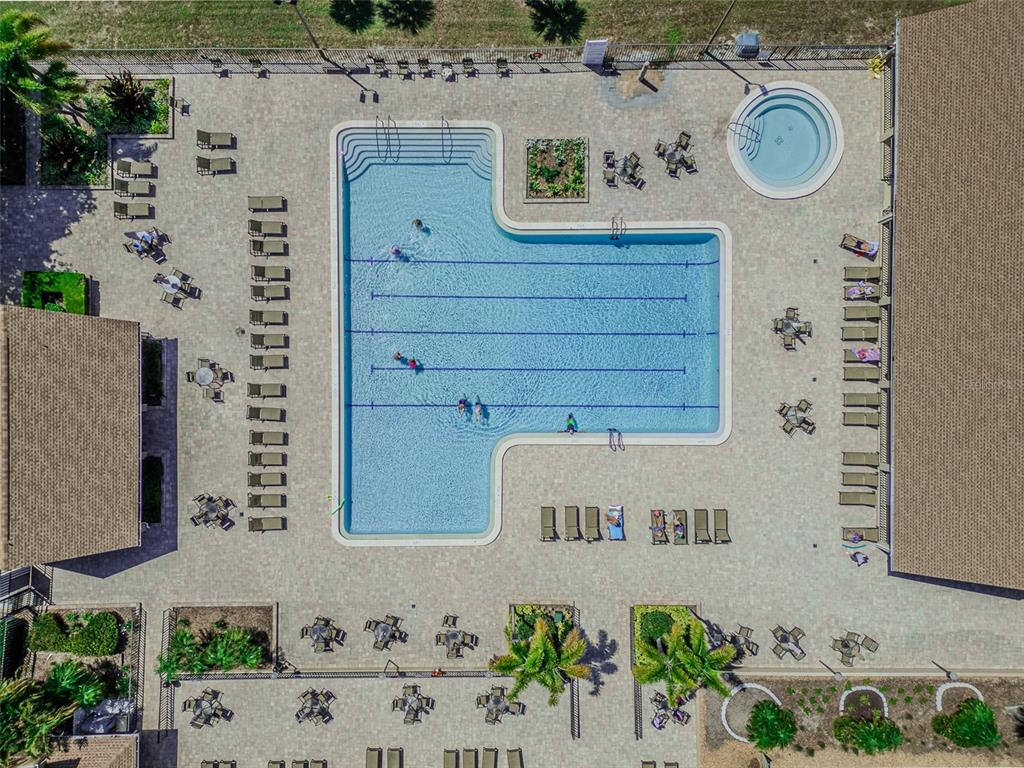 2241 Shelly Drive, Unit D Palm Harbor, FL 34684 - Photo 28 of 38