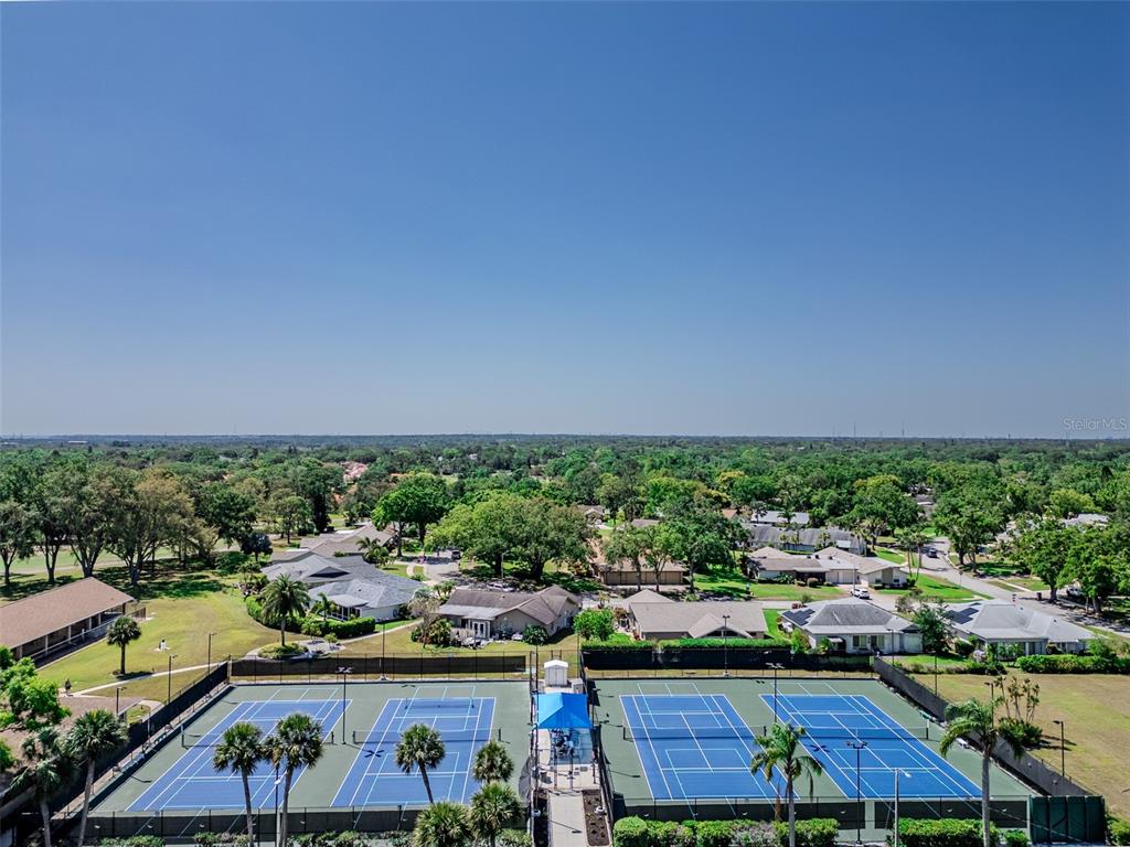 2241 Shelly Drive, Unit D Palm Harbor, FL 34684 - Photo 29 of 38