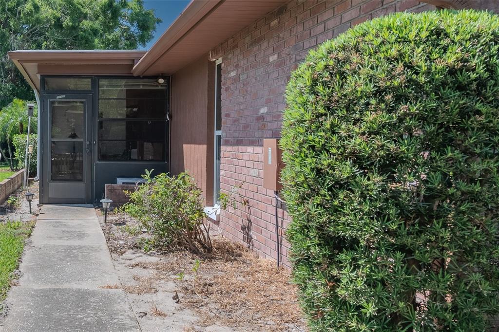 2241 Shelly Drive, Unit D Palm Harbor, FL 34684 - Photo 32 of 38