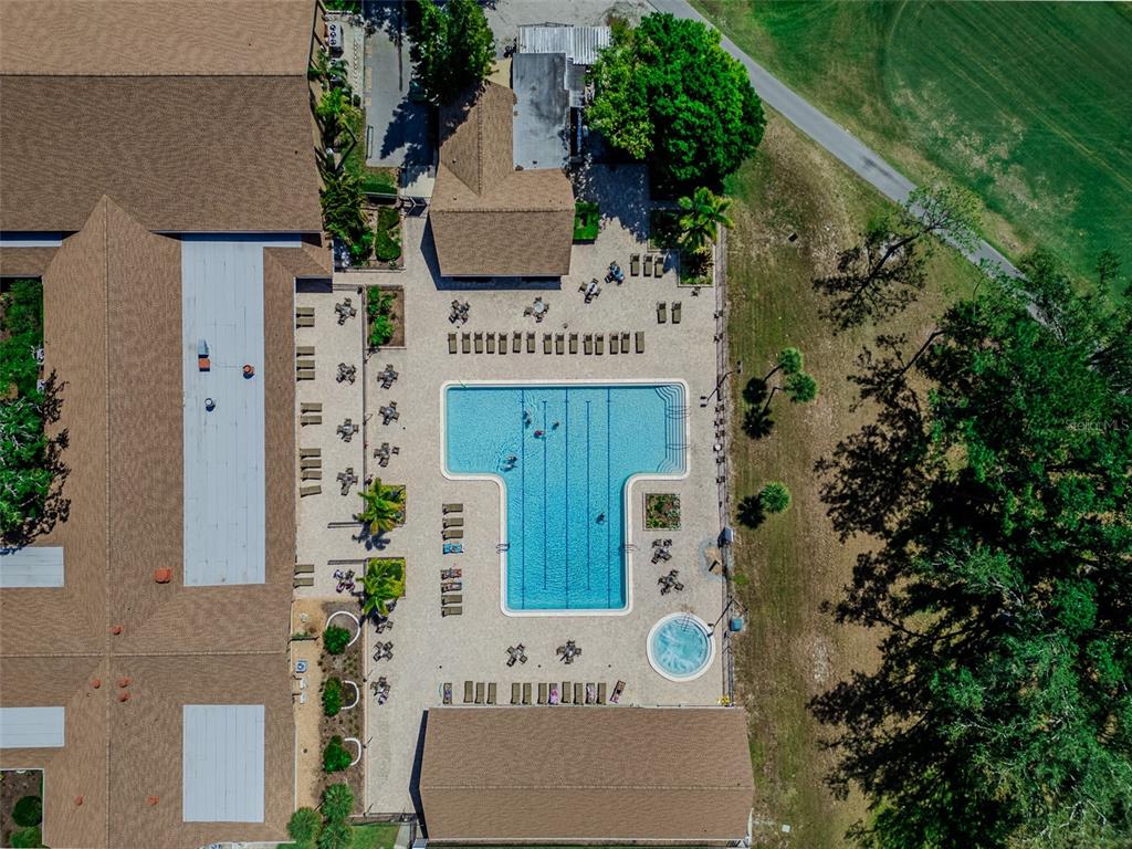 2241 Shelly Drive, Unit D Palm Harbor, FL 34684 - Photo 36 of 38