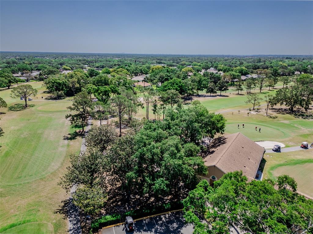 2241 Shelly Drive, Unit D Palm Harbor, FL 34684 - Photo 38 of 38