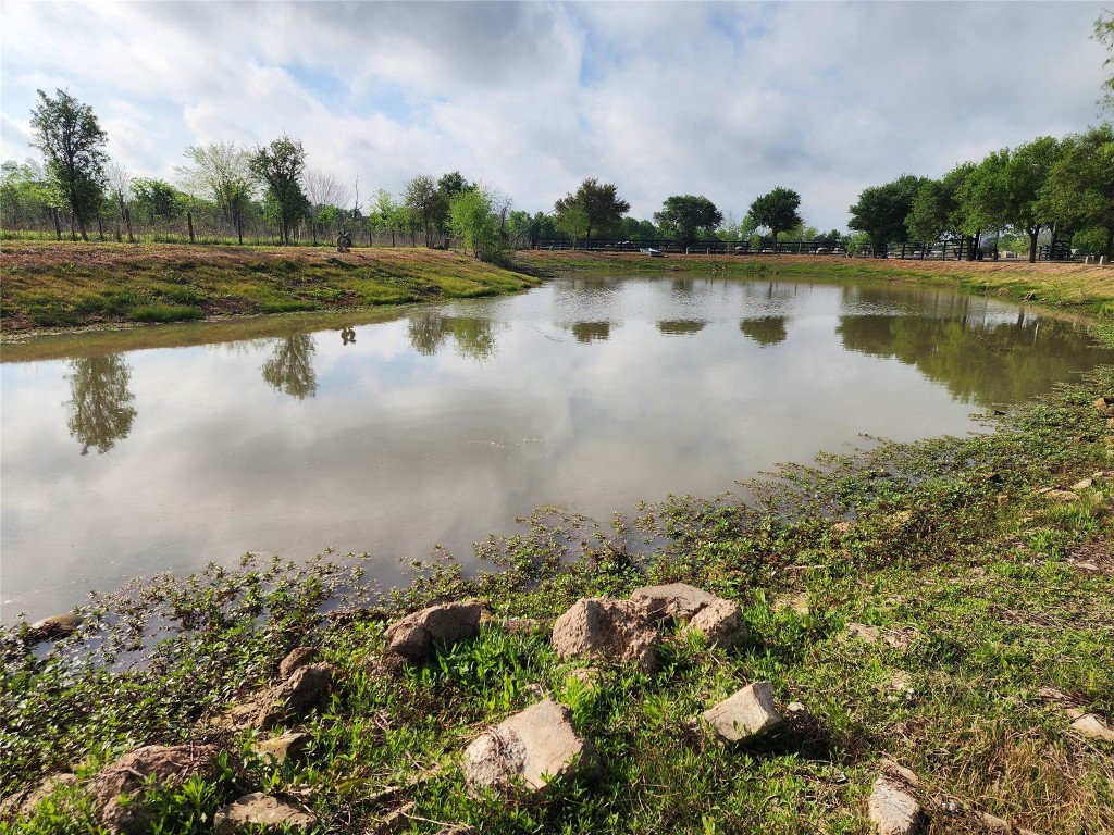 33640 Hannibal Road Fulshear, TX 77441 - Photo 5 of 14